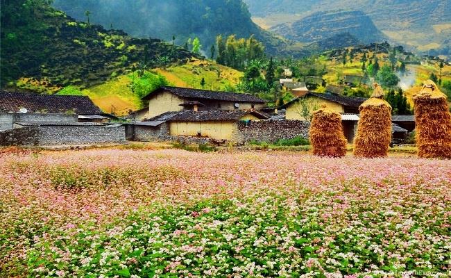 Du Lịch Hà Giang: Sài Gòn - Hà Nội - Hà Giang - Lũng Cú - Mèo Vạc