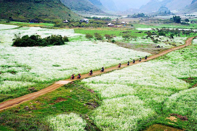 DU LỊCH HÀ NỘI - MỘC CHÂU - HÀ NỘI