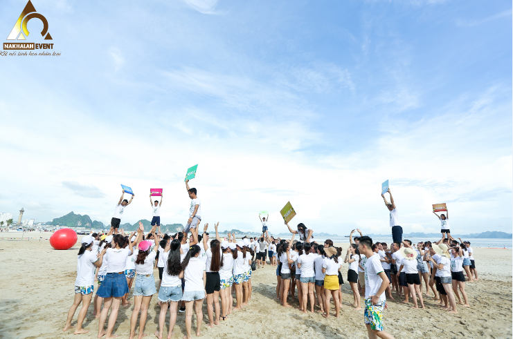 tổ chức team building fecredit
