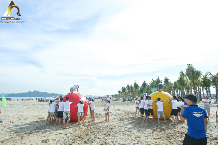 tổ chức team building fecredit