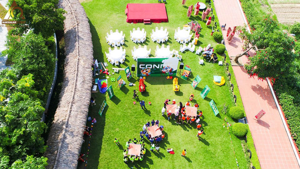 tổ chức teambuilding