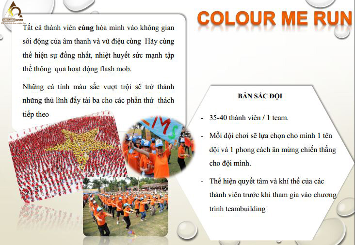 Bản sắc đội 