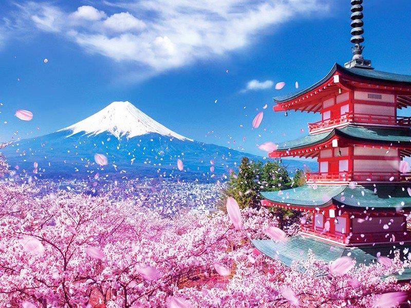 NKL-NN12. OSAKA - KYOTO - NÚI PHÚ SĨ - TOKYO (5N4Đ)