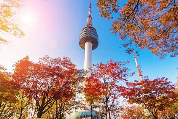 NKL-NN11. SEOUL – NAMI - CÔNG VIÊN EVERLAND - THÁP NAMSAM (5N4Đ)